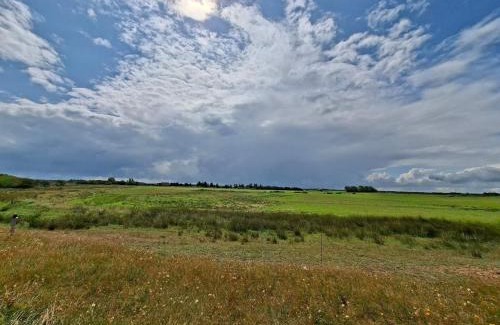 Skaven Strand House | 10 person holiday home in Tarm-By Traum