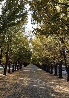 Pretoria Apartment | 109 Mauser Avenue