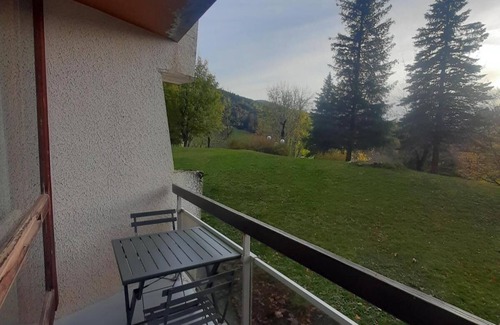 Villard-de-Lans Apartment | 10m from ski slopes, 2nd floor, balcony, parking, tv, ski locker, 20m², Villard de Lans