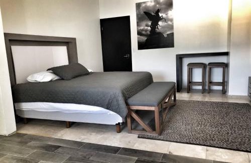 Torreon Apartment | 11 Suite Grande Para 4 Personas con Factura