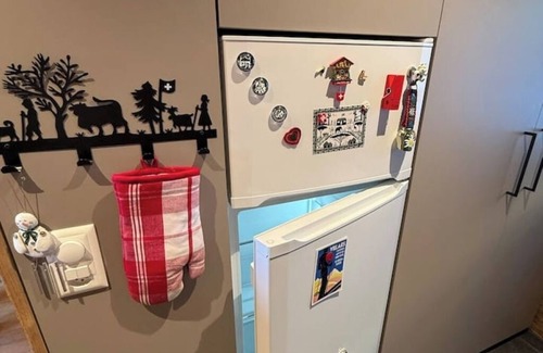 Gryon Ski Chalet | 114 Magnificent chalet l'Adrine