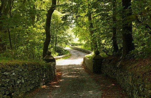 Llanfaethlu Cabin | 12 ‘Nihal’ Bell Tent Glamping Anglesey