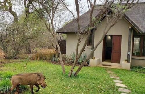 Hoedspruit House | 13 Raptors Lodge