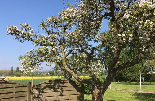 Dahme Apartment | 1741 - House Moinsen - 1741 - House Moinsen