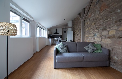 Colmar Centre Ville Apartment | 1834 & Spa - ZEN apartment -