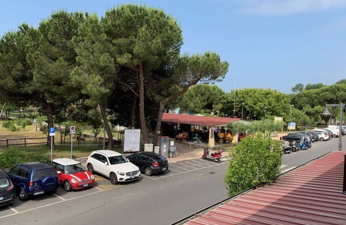 Ronchi Apartment | 1° floor apartment at 100m from the beach. Free Wifi, air conditioning, dogs allowed.