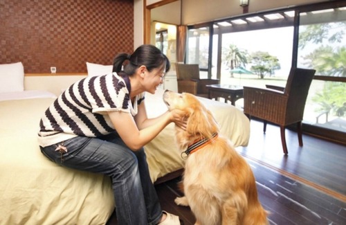 Tateyama Hotel | 1F Oceanfront Westernstyle room Room only Stay /Tateyama Chiba