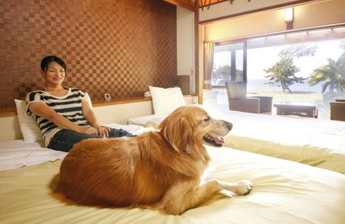 Tateyama Hotel | 1F Oceanfront Westernstyle room Room only Stay /Tateyama Chiba