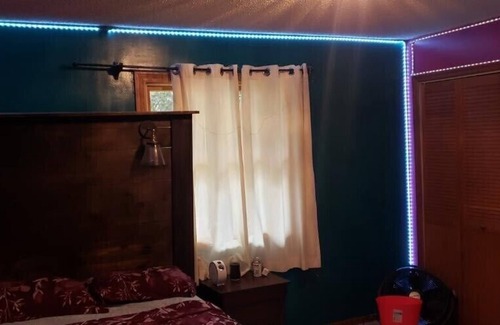 Maplewood House | 2 amazing home with a cabin!