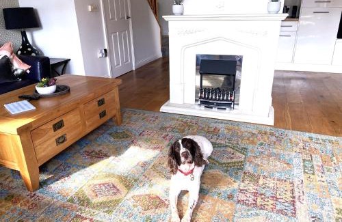 Brixham House | 2 Bed in Brixham 73625