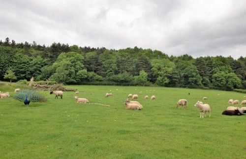 Giltbrook House | 2 Bed in Newthorpe 47032