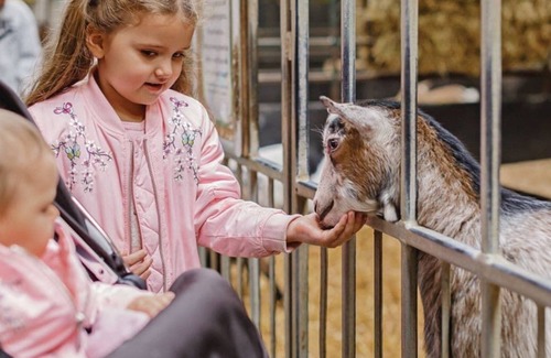 Clyst St Mary House | 2 bedroom accommodation in Clyst St Mary, Nr Exeter