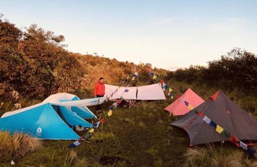 Bayan Other | 2 Days Camping Rinjani Summit 3726 m Join Tour