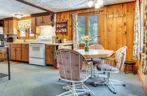 Freedom Cabin | 2 Mi to Ossipee Lake: Forest-View Sanctuary!