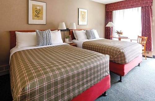 Jasper Hotel | 2-Star Hotel ∙ Marmot Lodge Jasper