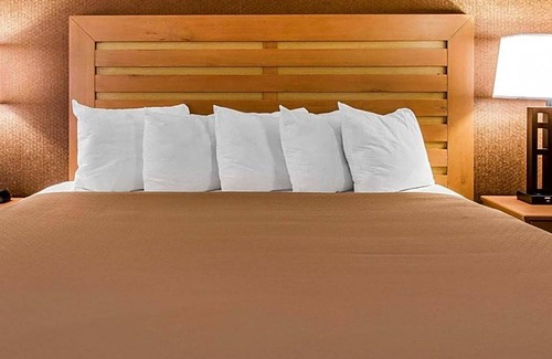 Warren Hotel | 2-Star Hotel ∙ Quality Inn & Suites Warren - Detroit