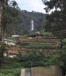 Nuwara Eliya House | 20/20 wood cabana