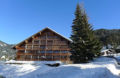 Villars-sur-Ollon Apartment | 20 m² Apartment ∙ 1 bedroom ∙ 2 guests