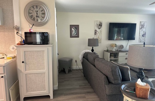 Richfield Springs Apartment | 20 min. To Cooperstown NY. nlake front rental one bedroom.extra sleeping space.