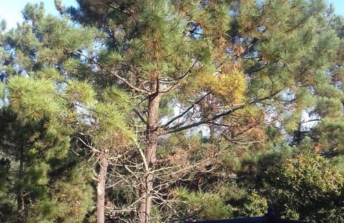 Outes House | 200 m² House ∙ 4 bedrooms ∙ 8 guests