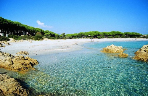 Sos Alinos Apartment | 21 m² Studio flat ∙ 1 bedroom ∙ 2 guests