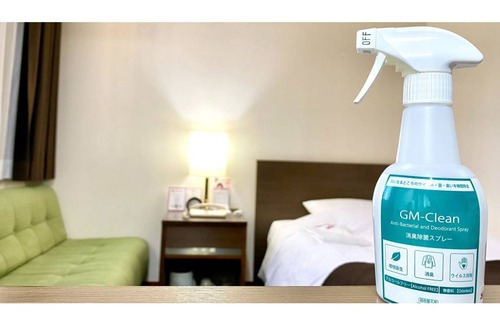 Hanamigawa Hotel | 22 m² Hotel ∙ 1 bedroom ∙ 2 guests