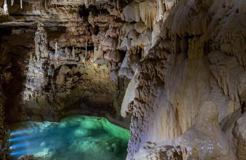 New Braunfels House | #23 The Rose Cottage at Garrison in Gruene