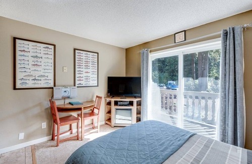 Glacier Condo | 24 m² Condo ∙ 1 bedroom ∙ 2 guests