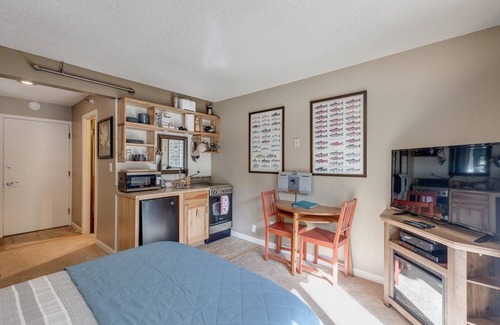 Glacier Condo | 24 m² Condo ∙ 1 bedroom ∙ 2 guests