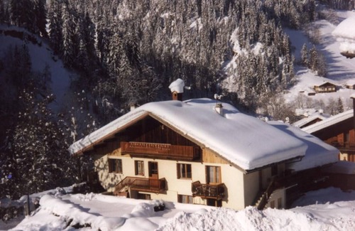 Areches Apartment | 250m from ski lifts, Ground floor, terrace, parking, tv, ski locker, 40m², Arêches-Beaufort