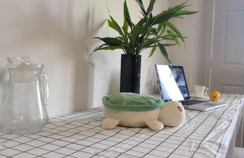 Wat Ket Apartment | 26近古城，宁曼泳池公寓 Near old city,Nimman,train station