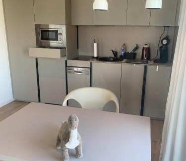 Gallus Apartment | 279 Expositon Center Galluswarte Main train station