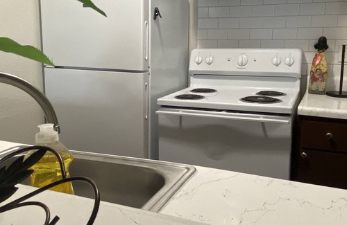 Astrodome Apartment | 2bed 1bth (Safari Room)