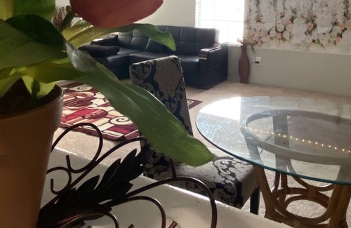 Astrodome Apartment | 2bed 1bth (Safari Room)