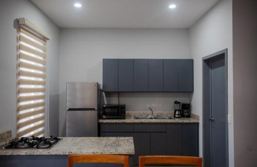 Ferrocarrilera Apartment | 2br/2ba Condo 1 block to ocean! - Unit 3