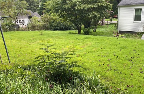 Knoxville Cottage | 3.3 Miles from Neyland Stadium - Renovations almost complete. Ready by 10/10/25