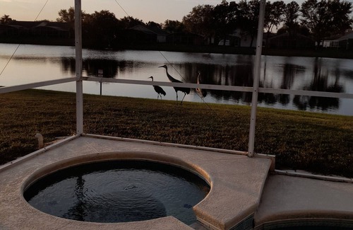 Clear Creek Villa | 3 B/R, South Facing Pool/Spa, Not Overlooked, Games Room, Free Calls, WiFi