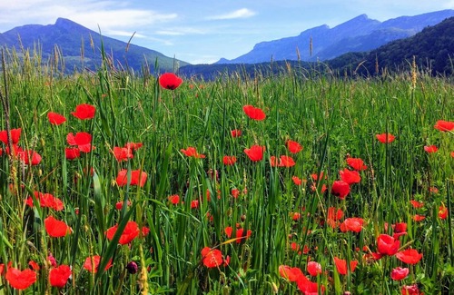 Entre-deux-Guiers Ski Chalet | 3-Bed Apartment in Chalet in Entre-Deux-Guiers