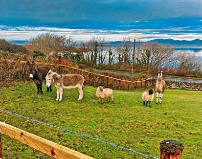 Westport House | 3 Bed Cottage Sleeps 6 - Mountain Views Parking