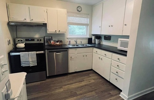 Ionia House | 3-bedroom house 3 min drive from downtown Ionia on Creek with AC, WiFi