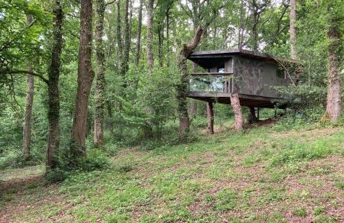 Longhope House | 3 Guests - Pet Friendly - Grid Tree-House