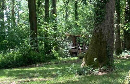 Longhope House | 3 Guests - Pet Friendly - Grid Tree-House