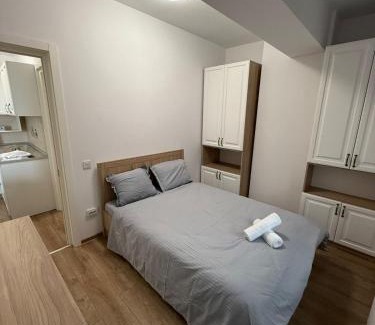 Iasi Apartment | 3 room apartment in Lazar Complex