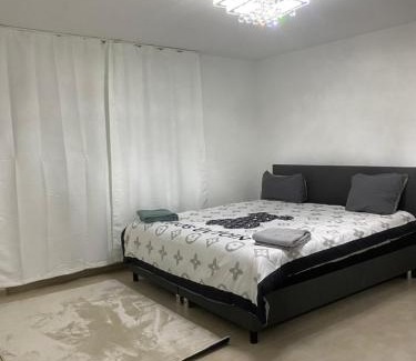 Loerrach Apartment | 3 zimmer Apartment