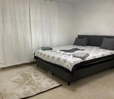 Loerrach Apartment | 3 zimmer Apartment