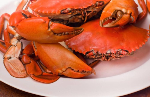 Samarinda Hotel | 32 m² Hotel ∙ 2 guests