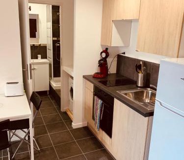 Bron Apartment | 32EG faculté médecine, hôpitaux, vinatier