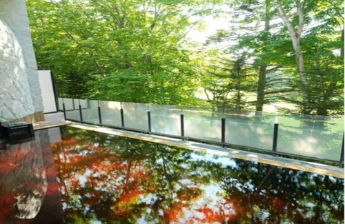Kitahiroshima Hotel | 36 m² Hotel ∙ 1 bedroom ∙ 2 guests