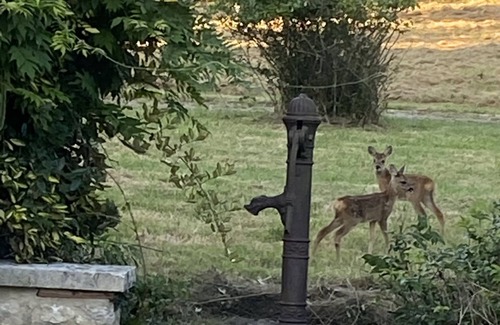 Agnac House | 360 m² villa on 9.5 hectares of fenced land, swimming pool and pond