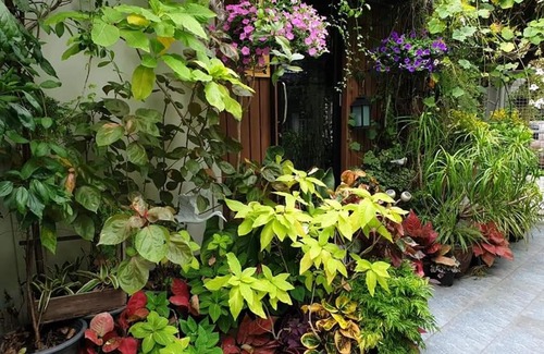 Talat Bang Khen House | 37 Nature House